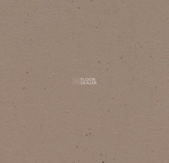 Forbo Marmoleum Solid Cocoa 3580-358035 milk chocolate фото 1 | FLOORDEALER